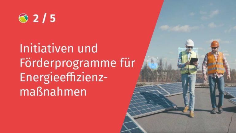 Optimale Investitionsf&ouml;rderung f&uuml;r Energieeffizienzma&szlig;nahmen