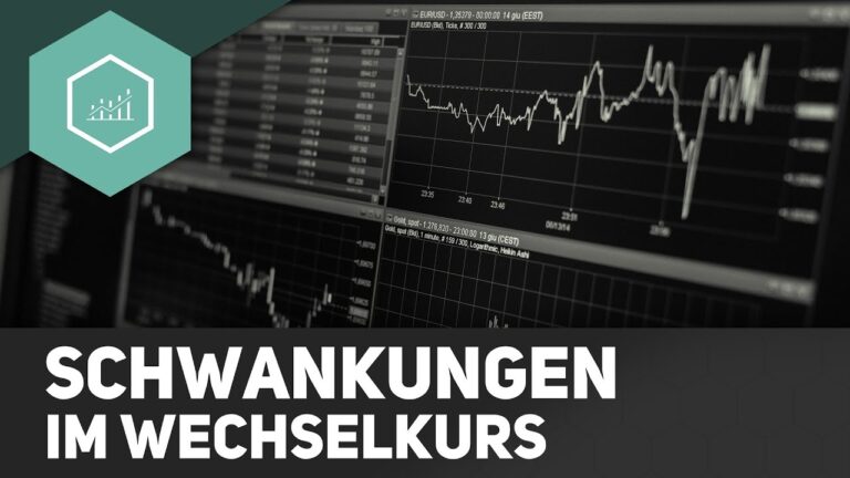 W&auml;hrungsschwankungen und ihre Auswirkungen auf Unternehmen