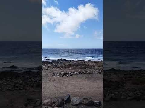 Erfolgsfaktoren der Gesch&auml;ftsexpansion in Deutschland