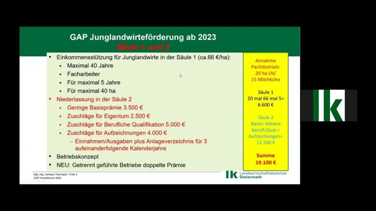 Optimale Strategien zur Investitionsf&ouml;rderung f&uuml;r deutsche Betriebe
