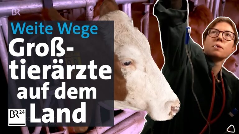 Im B&uuml;rokratie-Dschungel Deutschlands erfolgreich navigieren
