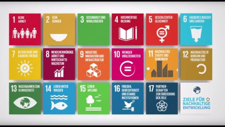 Nachhaltigkeitsstrategien deutscher Unternehmen im Fokus