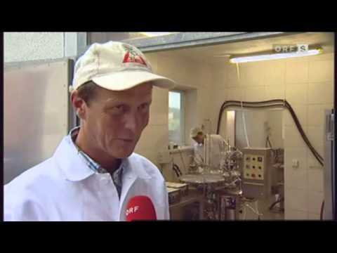 Investitionsf&ouml;rderung f&uuml;r Unternehmertum in Deutschland: Chancen und Strategien